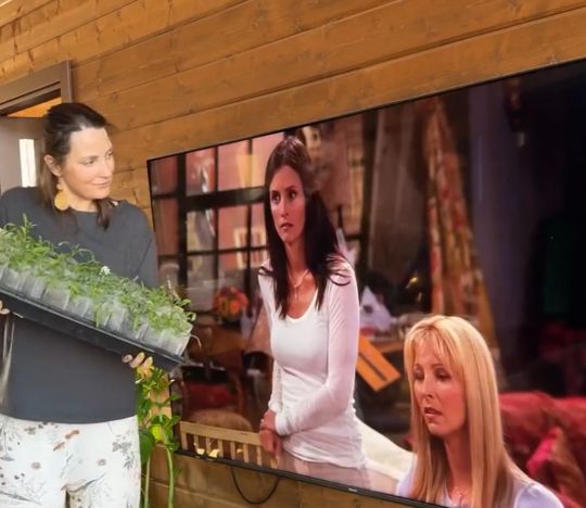 Можно не только рассаду показывать⁠⁠