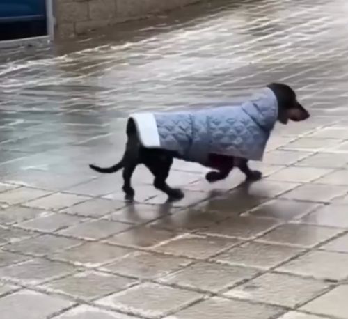 Весна, гололед...⁠⁠