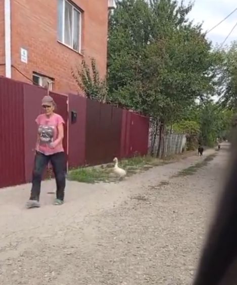 И пошли они до городу Парижу