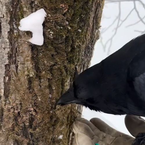 Всё в семью. Хорошенький