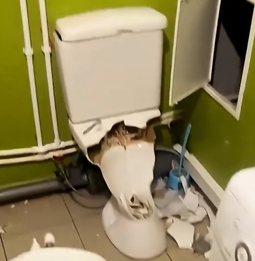 Главное - спокойствие