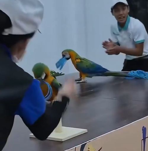 Когда твой девиз – "Победа любой ценой!"