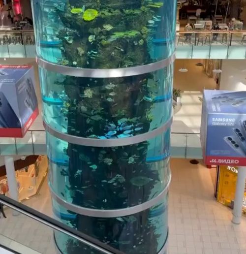 Тайный заговор⁠⁠