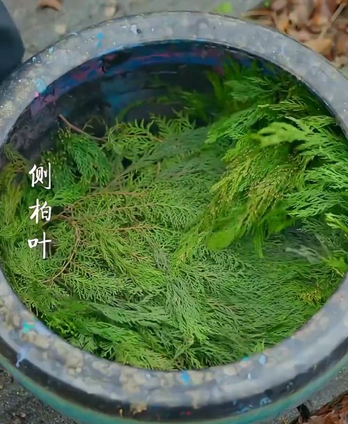 Благовония