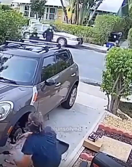 Попугай так разорался, что соседи вызвали полицию)⁠⁠