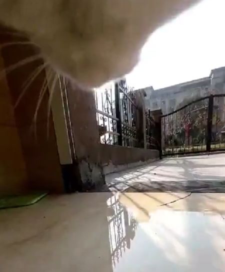 У них там свои мурделишки