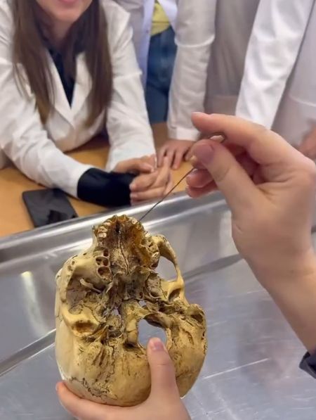 Женщины образованные