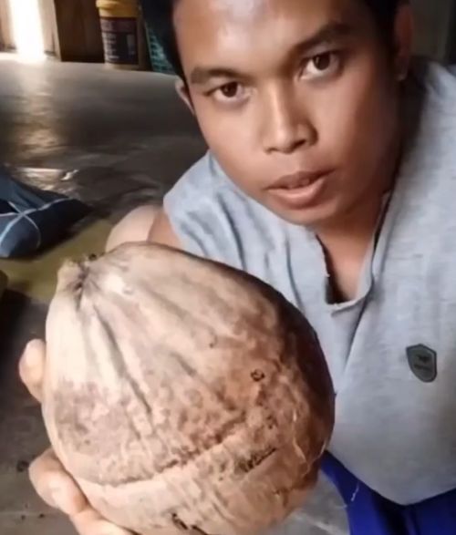 Как не надо пытаться разбить кокос кулаком⁠⁠