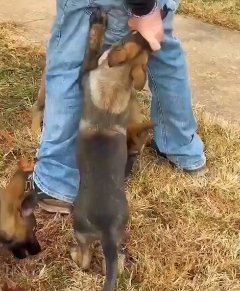 Малинки⁠⁠