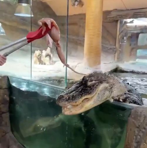 Первый и последний день на работе