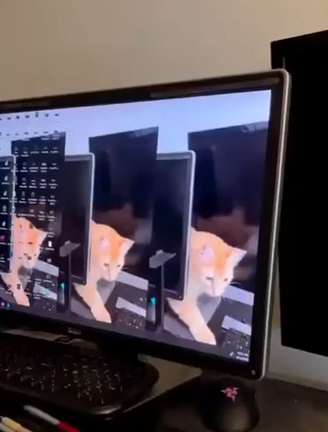 Ну должно же быть хоть какое-то постоянство в жизни⁠⁠