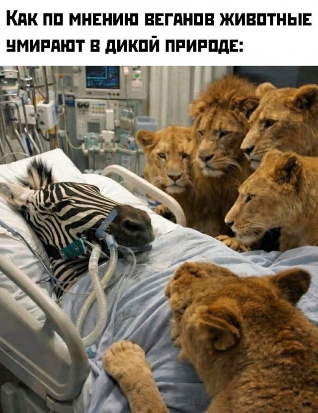 Разные картинки 14.03.2026