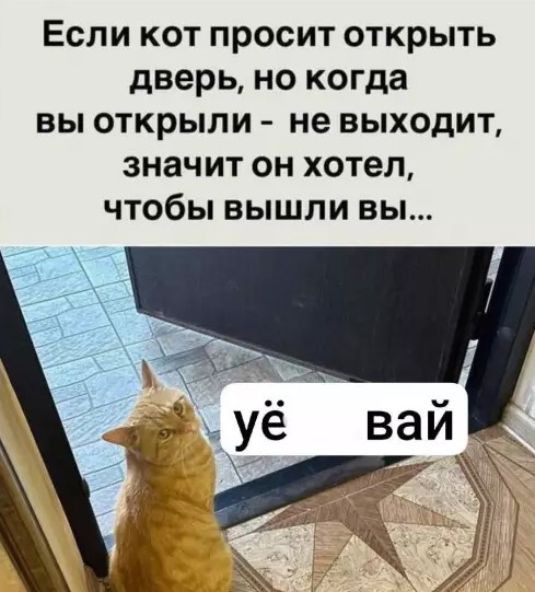 Вечерние приколы 15.03.2026