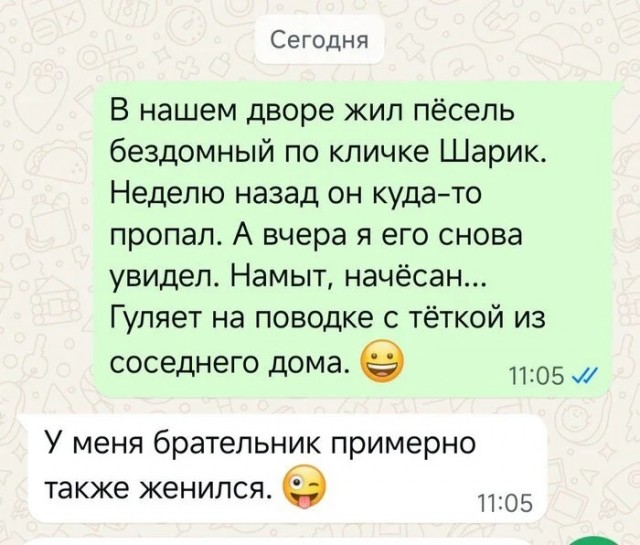 Подборка смешные картинок 17.03.2026