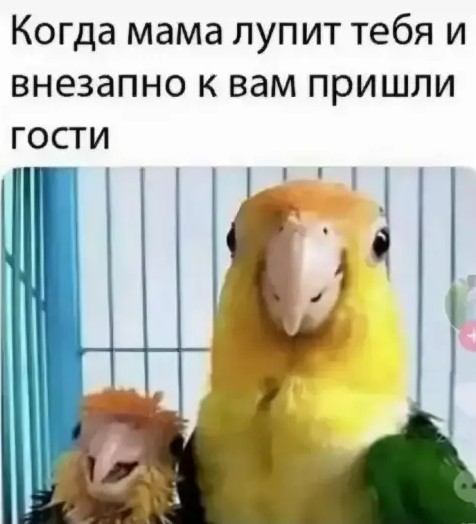 Прикольные фото и свежий юмор для отличного настроения