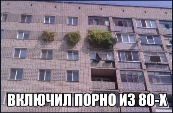 Лучшие приколы для отличного настроения на весь день