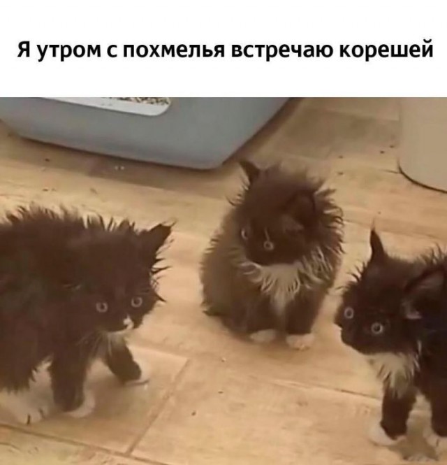 Субботний юмор 28.03.2026