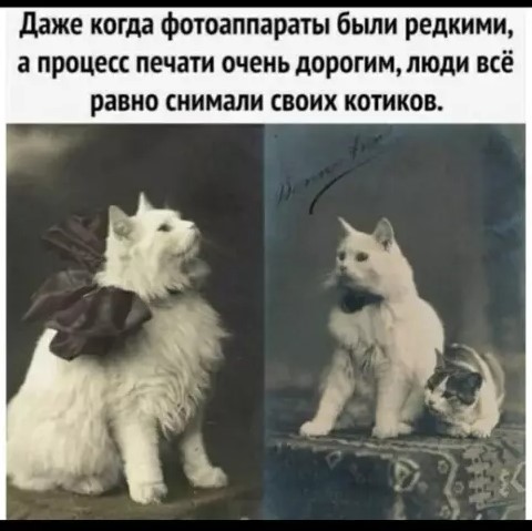 Новые мемы 30.03.2026