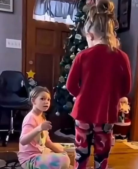 Урок вежливости