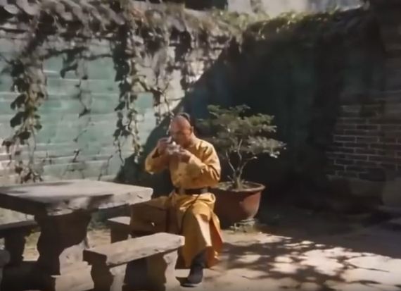 Кот-фу мастер