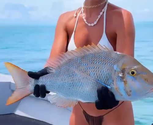 У оператора была одна задача - снять рыбу с правильного ракурса