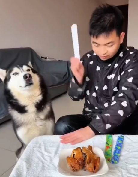 Ээээ! Хозяин!⁠⁠