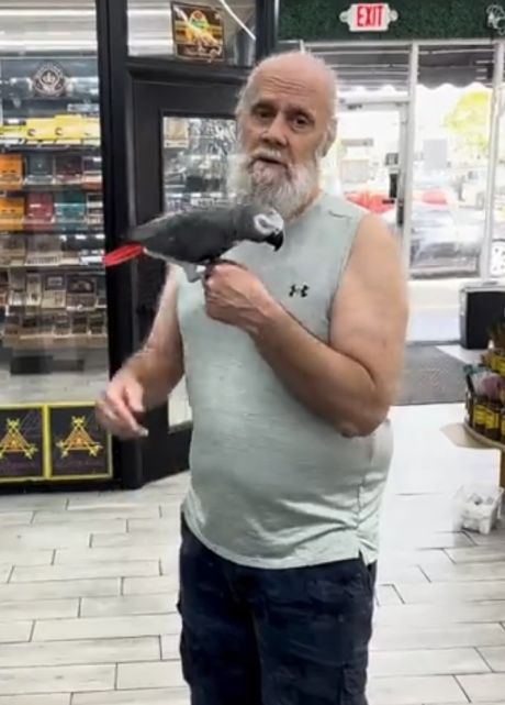 Очень талантливый попугай