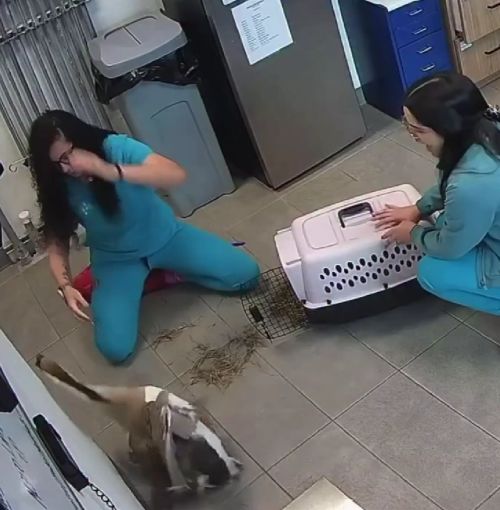 Не договариваться пришел⁠⁠