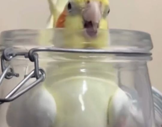 Пал жертвой своих пороков⁠⁠