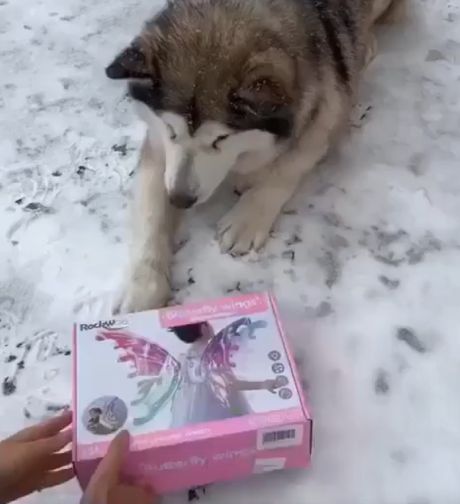 Иногда нам всем нужна в жизни сказка)⁠⁠