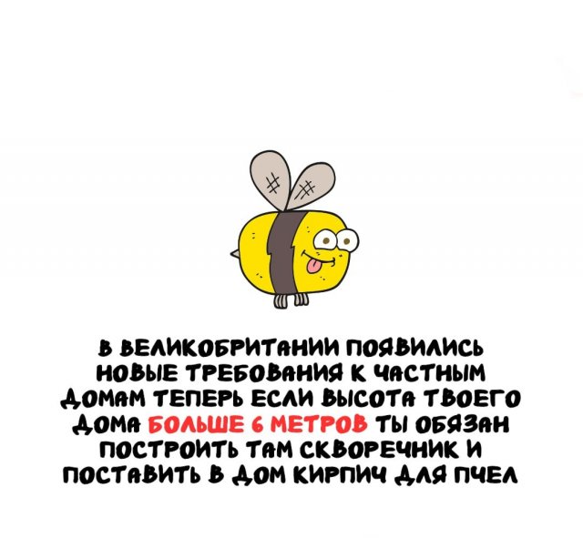 Самые невероятные и полезные факты обо всем на свете