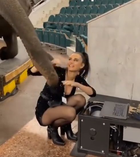 Слоняшке скучно