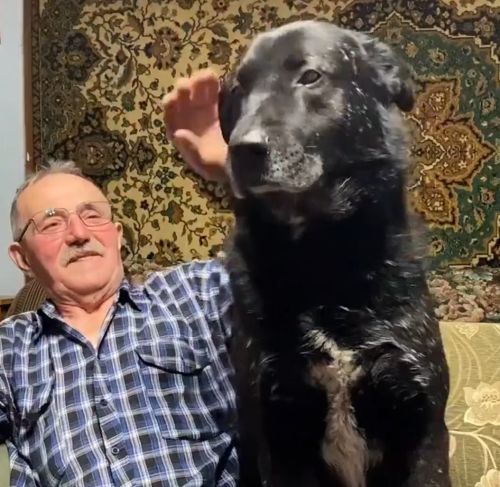 Бабушкин пирожок