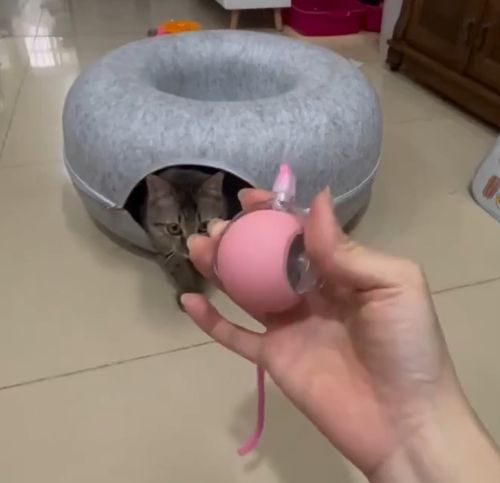 Суету навести охота