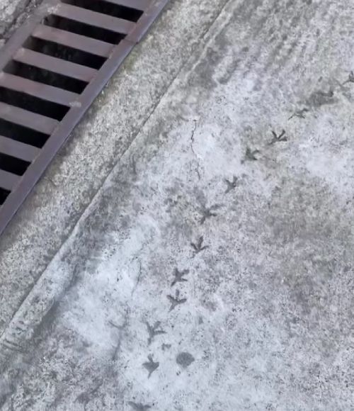 Разговор был не из приятных⁠⁠