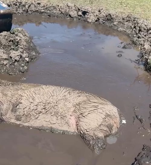 Весна пришла⁠⁠