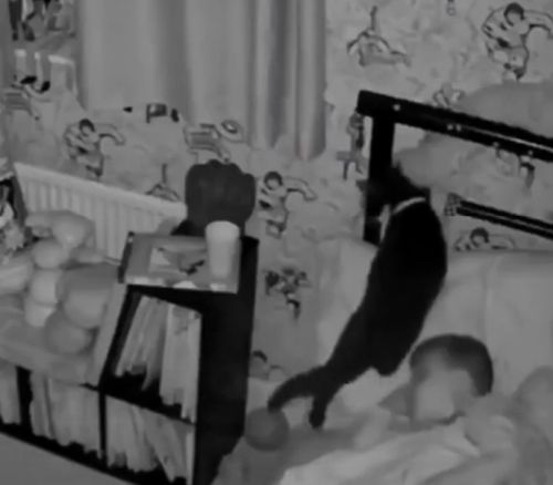 И всё, и потух глаз у терминатора