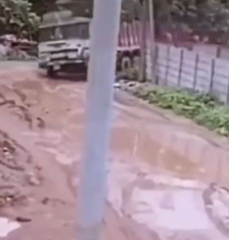 Редкие кадры линьки грузовичка⁠⁠