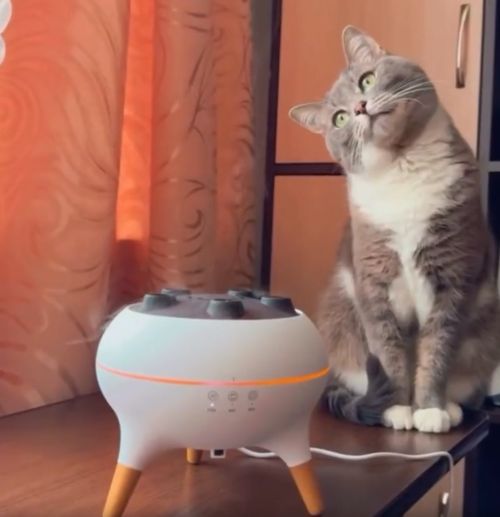 Магия какая-то