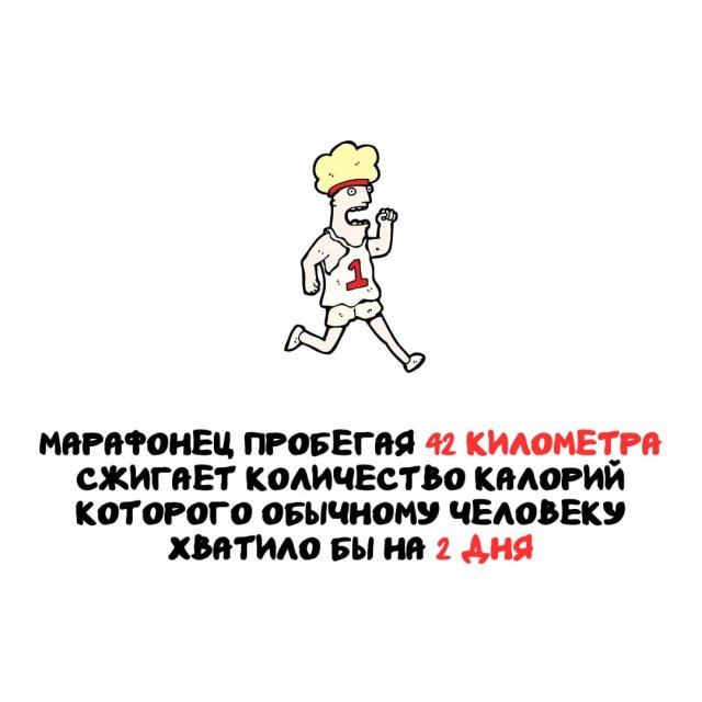 Самые удивительные факты обо всем на свете для расширения кругозора