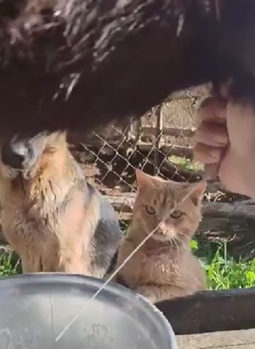 Крыша пришла получить свой процент