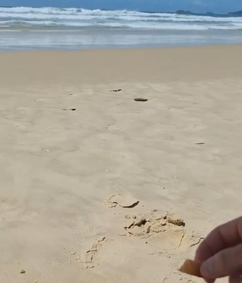 Странные у них голуби