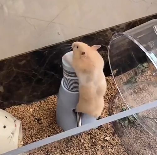 Миссия выполнима⁠⁠