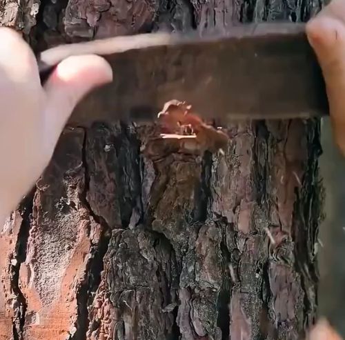 Как изготавливали кисти в древнем Китае⁠⁠