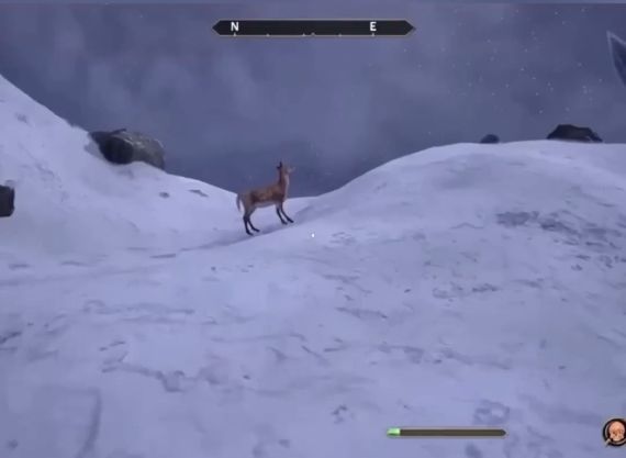 Выйду ночью в поле с оленём...