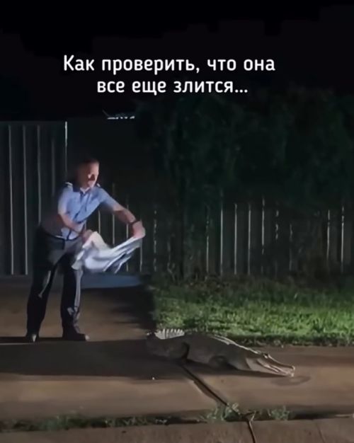 Проверка⁠⁠