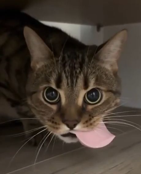 Настоящая защита⁠⁠