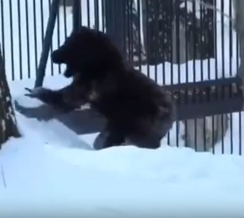 Шутник, блин