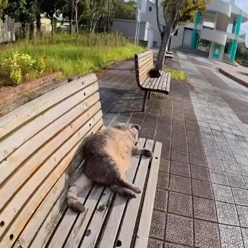 Мудрость дня