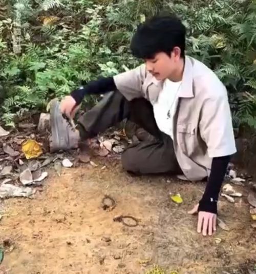 Камушек, палочка, листик и фантазия